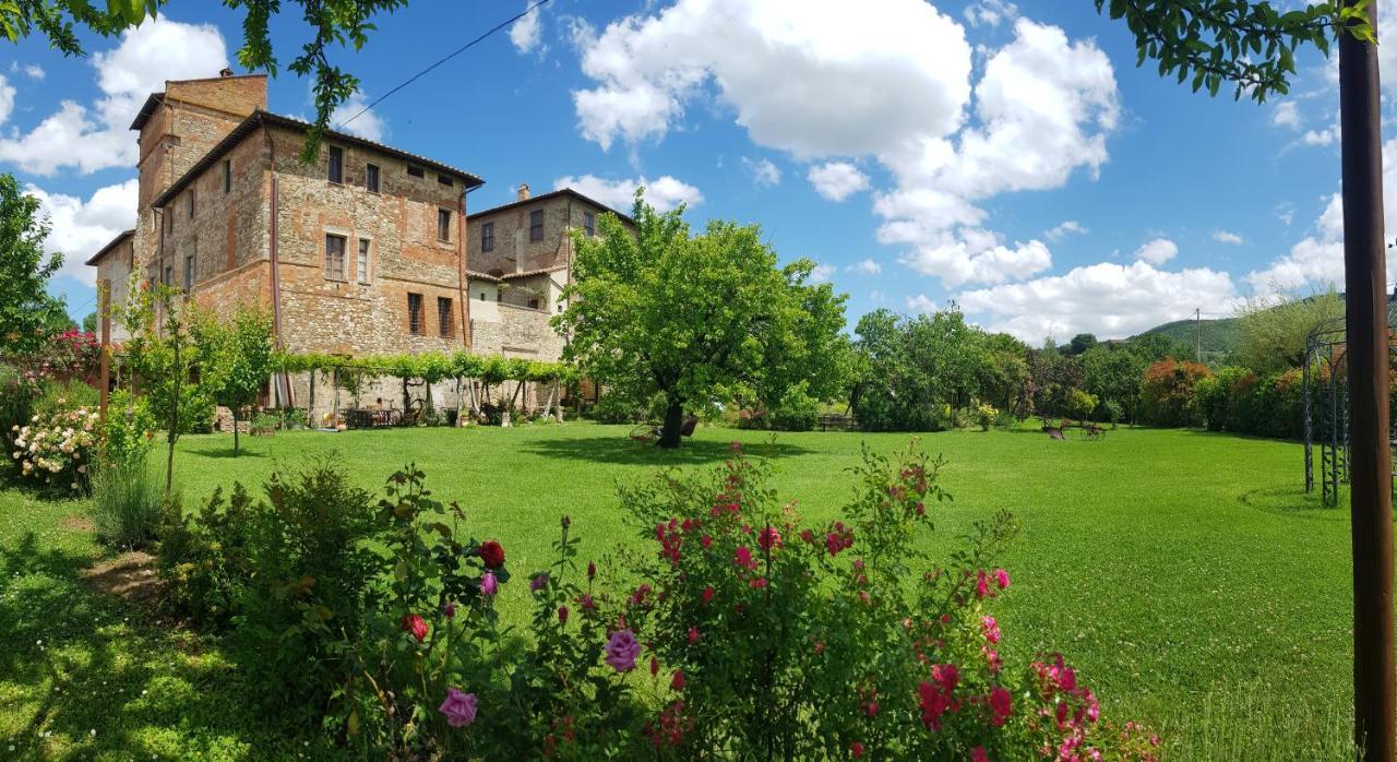 Agriturismo Abbazia Sette Frati A Casa Di Sara Pietrafitta  Zewnętrze zdjęcie