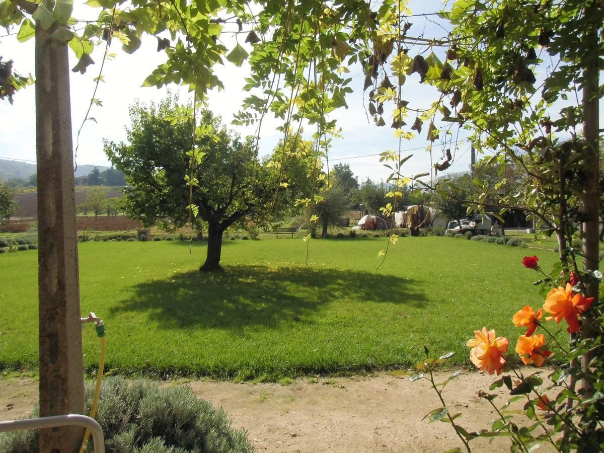 Agriturismo Abbazia Sette Frati A Casa Di Sara Pietrafitta  Zewnętrze zdjęcie
